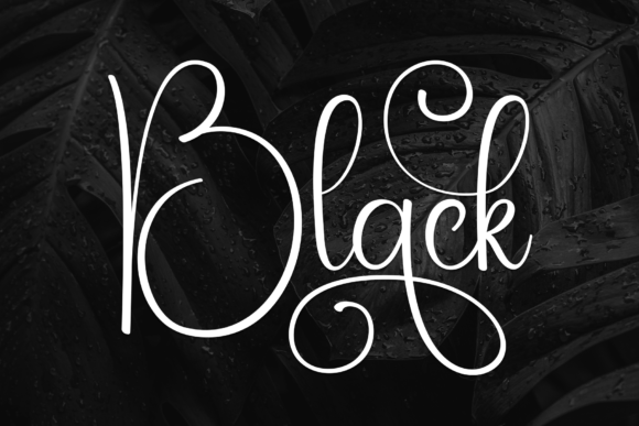 Black Font: Elegance and Style in Every Design