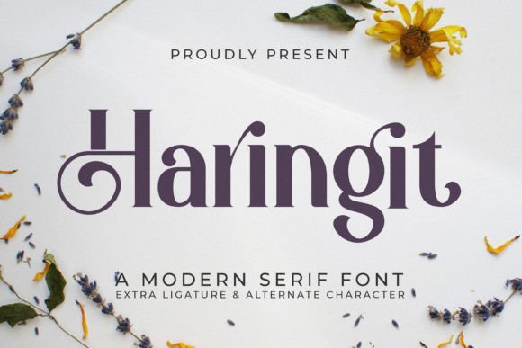 Haringit: A Timeless Typeface for Modern Design