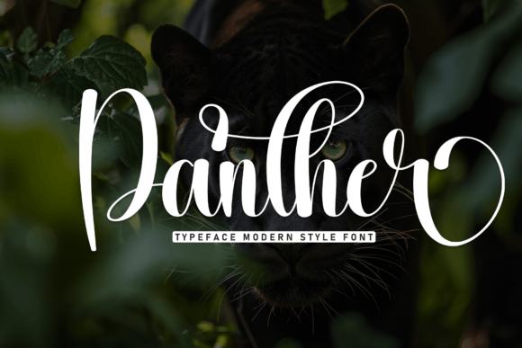 Panther Script Font: Elegance in Every Curve